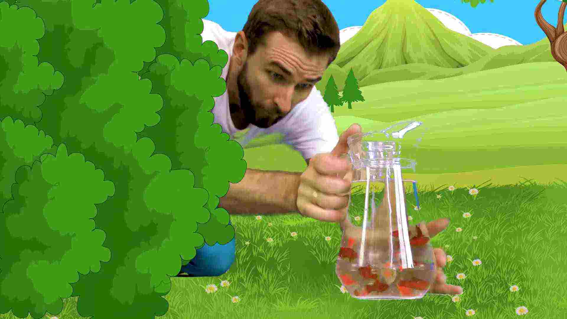 Catching the Colorful Fish img